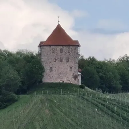 Sali Homes - Gaestehaus Lamm Szálloda Obersulm