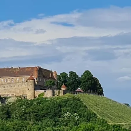 Sali Homes - Gaestehaus Lamm Отель *