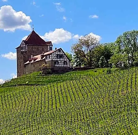 Sali Homes - Gaestehaus Lamm Hotel *