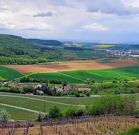 Hotel Sali Homes - Gaestehaus Lamm Obersulm