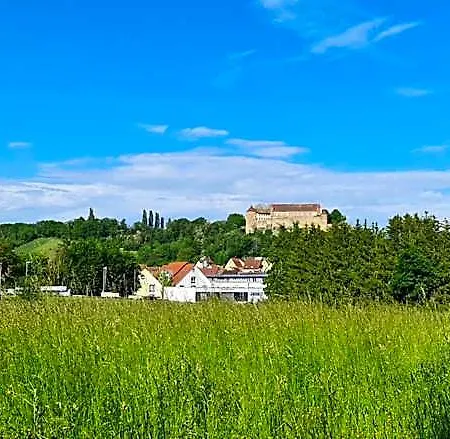 Hotel Sali Homes - Gaestehaus Lamm *