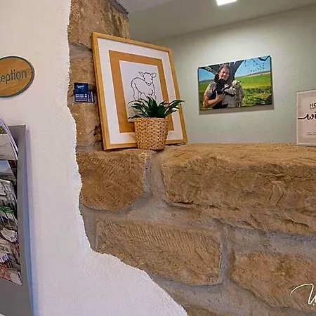 Hotel Sali Homes - Gaestehaus Lamm *