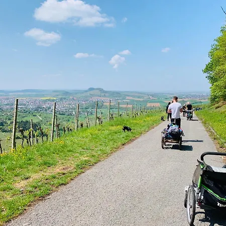 Sali Homes - Gaestehaus Lamm 酒店 Obersulm