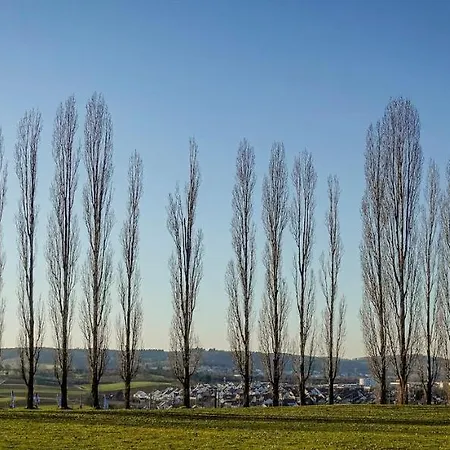 Sali Homes - Gaestehaus Lamm