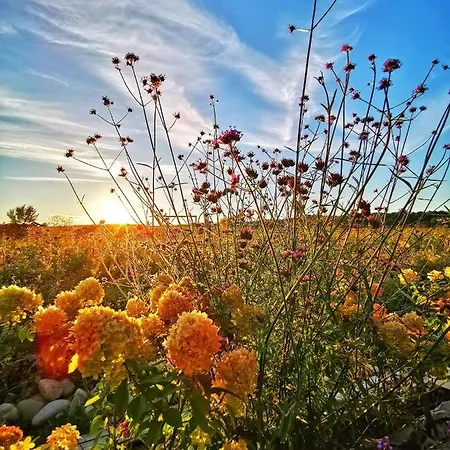 Sali Homes - Gaestehaus Lamm Hotel Obersulm