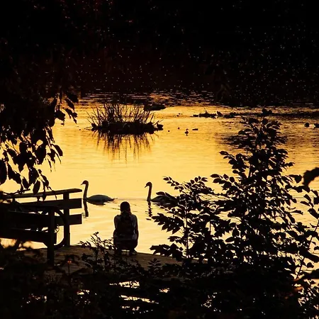 Sali Homes - Gaestehaus Lamm *