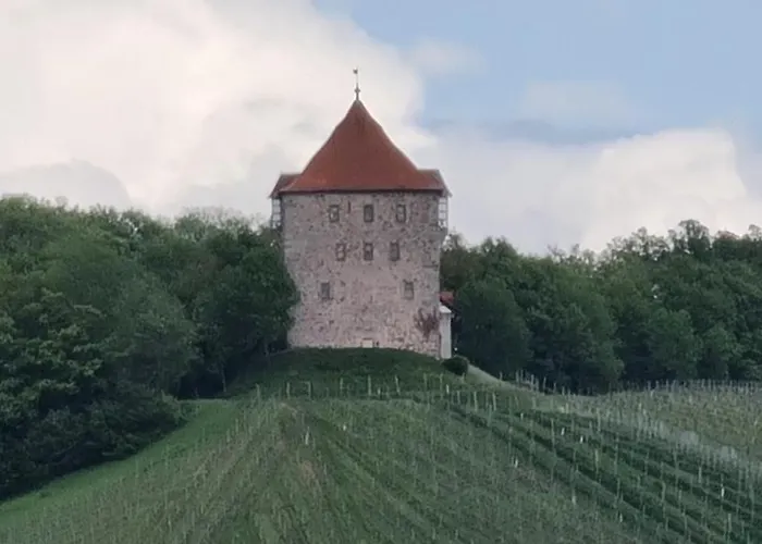 Sali Homes - Gaestehaus Lamm Hotel Obersulm