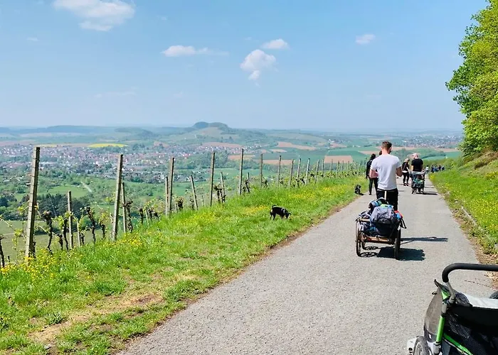 Sali Homes - Gaestehaus Lamm Hotel Obersulm