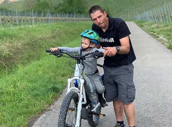 Sali Homes - Gaestehaus Lamm Hotel *