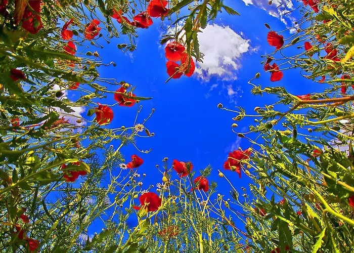 Hotel Sali Homes - Gaestehaus Lamm