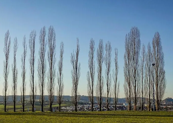 Sali Homes - Gaestehaus Lamm