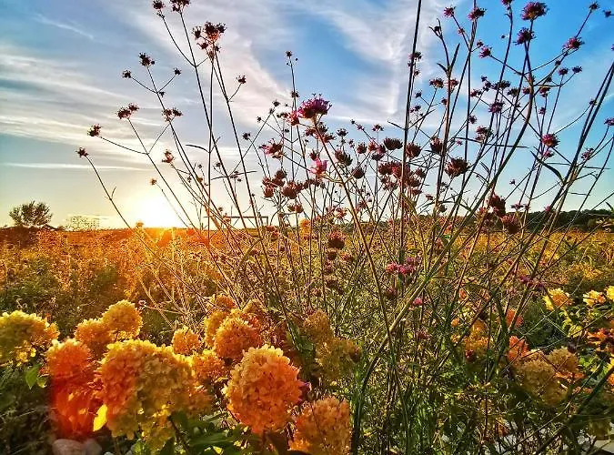 Sali Homes - Gaestehaus Lamm Hotel Obersulm